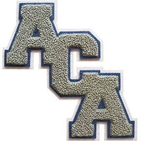 Wholesale Custom Chenille Letter